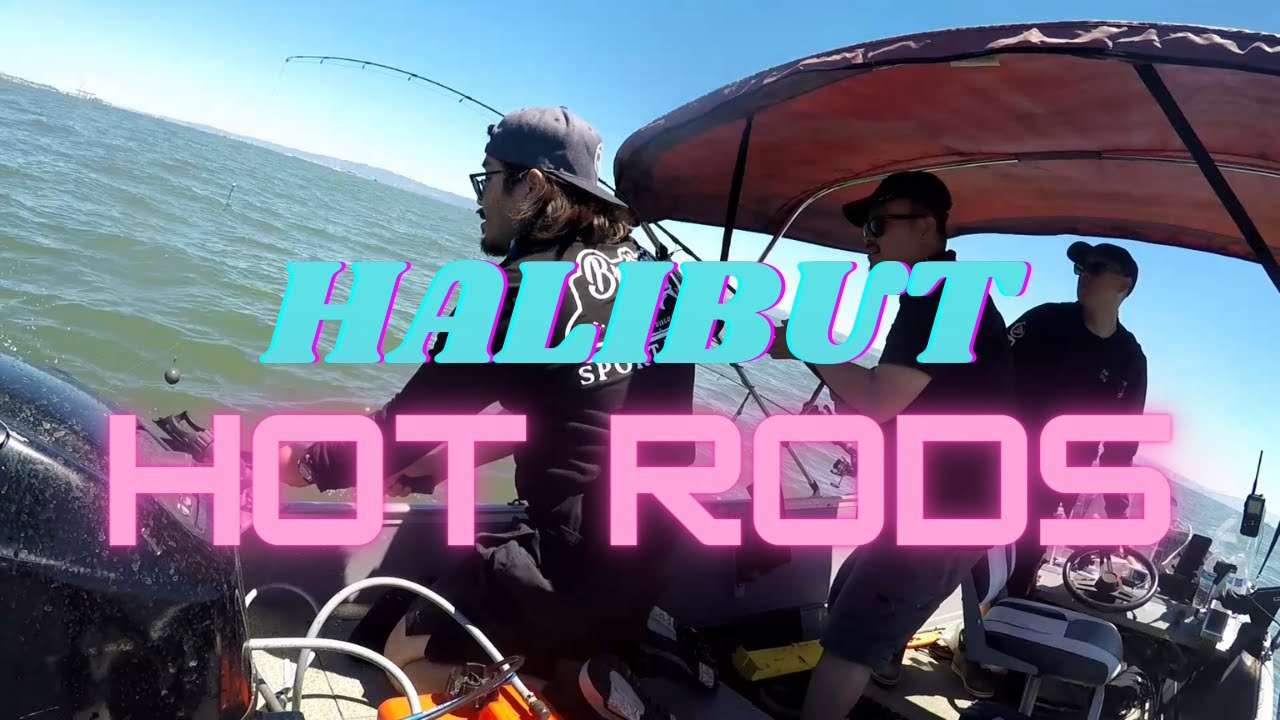 Bites, Camera, ACTION! Halibut Fishing Oyster Point, CA YouTube