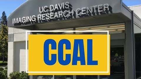 Cognitive Control and Attention Lapses (CCAL)