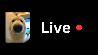 HALLOWEEN STREAM! (IdleOn and Others)