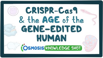 CRISPR-Cas9 and the age of gene-edited humans