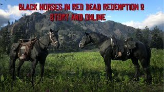 Black Horses Available in Red Dead Redemption 2: Story & Online