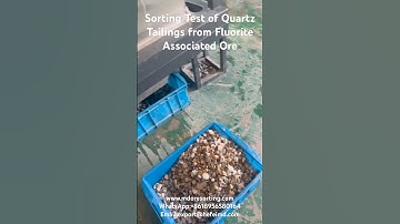 Sorting Test of Quartz Tailings from Fluorite Associated Ore #oresorting #mineralsorting #quartz