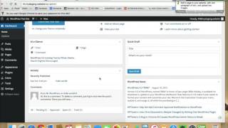 WordPress Case Study for Task 1 Female | 25–35 Profile