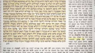 מסכת קידושין דף פ"א 81
