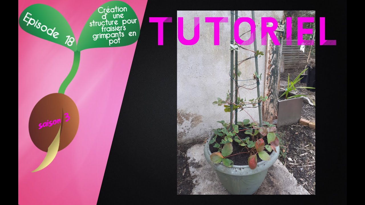 🍓S3 - Episode 18 : TUTORIEL : Création d'une structure pour fraisiers