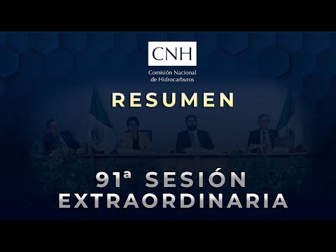Resumen 91ª Sesión