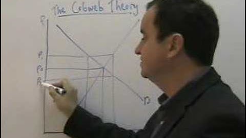 cobweb theory - market failure in agricultural markets