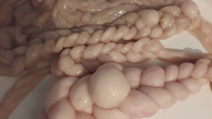 Көпшілікте онлайн порно видеолар