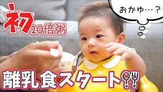 【離乳食】生後5ヶ月赤ちゃん！初１０倍がゆの反応は？？baby food for the first time