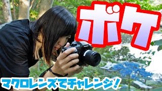 【写真撮影】Panasonic LUMIX G MACRO 30mm F2.8 ASPH. MEGA O.I.S. でボケを活かしたマクロの撮り方に挑戦してみた【ともよ。】【オート先生】