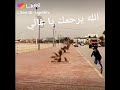 ٣ أغسطس ٢٠٢٠ ٣ أغسطس ٢٠٢٠