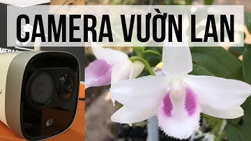 Camera Wifi Báo Động Qua Điện Thoại - 2.0MP