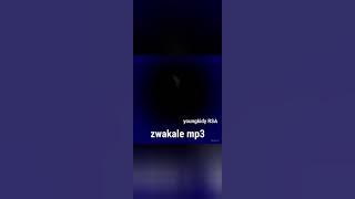 Zwakale mp3  ft Young kidy RSA