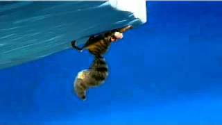 Youtube Ice Age 2 Teaser Trailer