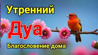 Утренний Дуа. Дуа Каждое Утро