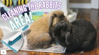 How I clean my rabbits area!