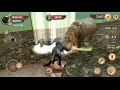 Wild Panther Sim 3D Android Gameplay #5 #DroidCheatGaming
