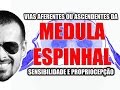 Medula Espinal: Vias Aferentes ou ascendentes (sensibilidade) - Sistema Nervoso - VideoAula 092