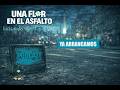Una Flor en el Asfalto / Carrió ¿Miel x Menem? Kiciloff, Inflación, Teresa Bo sobre Irán y Ani-Con