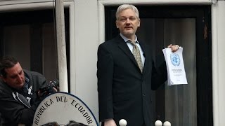 Does WikiLeaks Want Donald Trump to Win the Election? Does WikiLeaks Want Donald Trump to Win the Election?