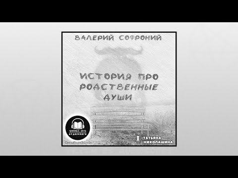 Валерий Софроний - История про родственные души (Аудиокнига)