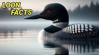 The Secret World of Loons: A Dive into Their Hidden Lives by Victor Van Buren 369 views 1 month ago 6 minutes, 22 seconds