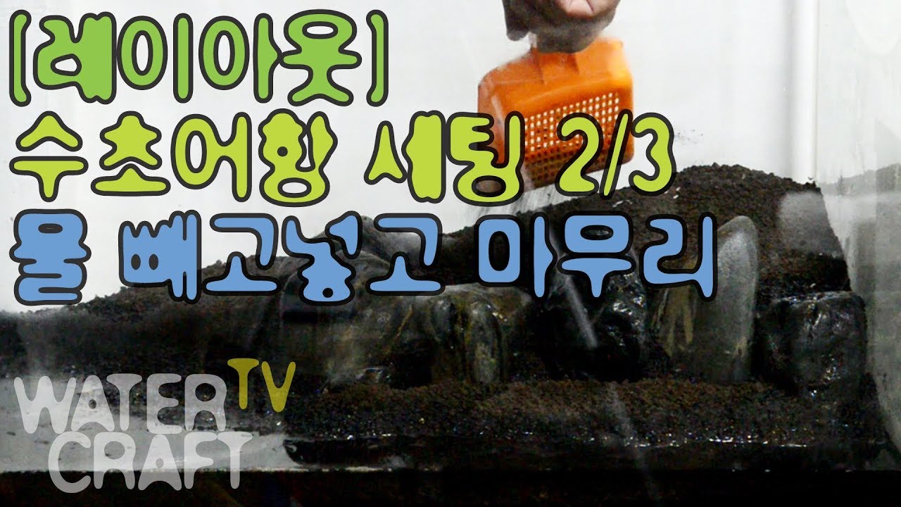 [레이아웃]수초어항세팅2_3_[LAYOUT]PlantedAquarium2