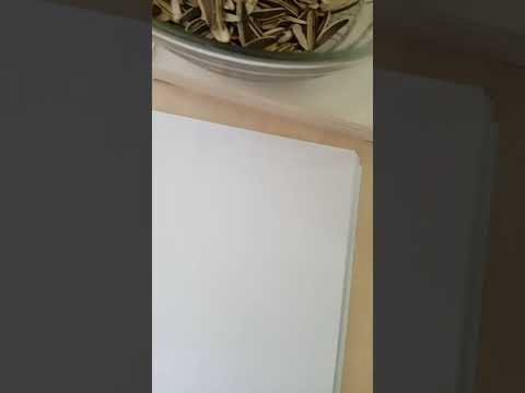 CD DVD NET