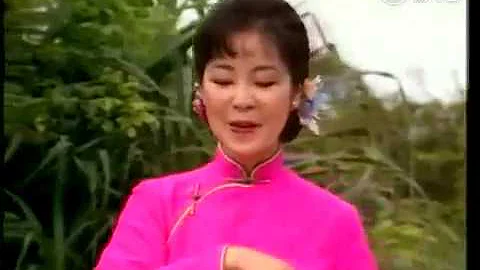 《小媳婦回娘家》~鄧麗君~1982年 - 天天要聞