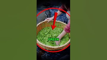 This ALGAE Is Touching Your Hands EVERYDAY!🦠