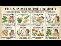 The $12 Medicine Cabinet That Predates Pharmacies — 8 Plants That Actually Work According to Science