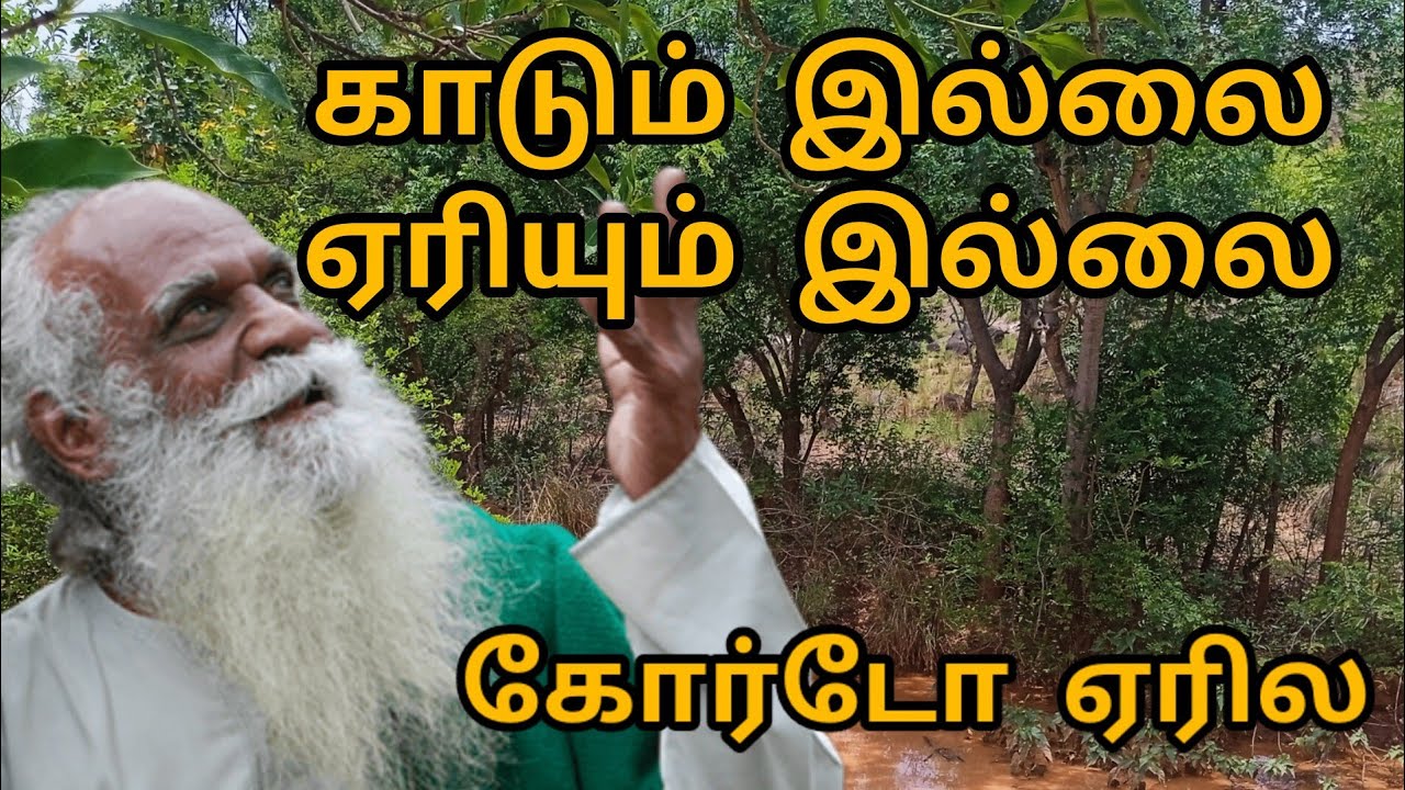 மண்ணுக்கான மொழியில்  விவசாயத்த கத்துக்கனும்|நம்மாழ்வார் ஐயா உரை 7|உயர மரம் தான் மேகத்த ஈர்க்கும்