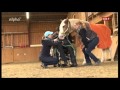 Wortlos - heilende Pferde Teil 3