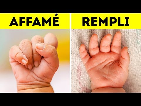 Vidéo: A Quoi Ressemble Une Chaise Bébé ?