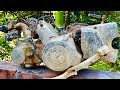 Full HONDA Engine Restoration | Restore and repair old rusty Japanese HONDA engines