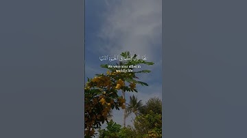 سورة فصلت | القارئ ناصر القطامي