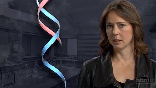 The DNA Double Helix Discovery - HHMI BioInteractive Video