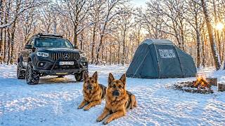 WINTER CAMPING with my 2 DOGS | Snowy Forest ASMR ❄️🌲