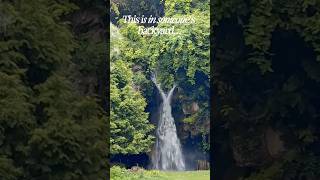 Hidden Waterfall in Someone’s Backyard 😳 | Virginia Hidden Gem