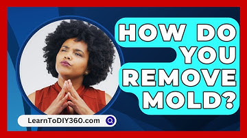 How Do You Remove Mold? - LearnToDIY360.com