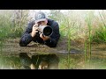 WILDLIFE Photography at my DIY Nature Pond