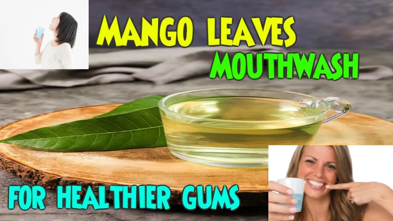 Mango leaves mouthwash for healthier GUMS. YouTube