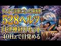 ストレスで眠れない人の睡眠用BGM💤 528Hzで熟睡 ➡40Hzで気持ちよく目覚める🌈 海と森のサウンド｜1/f ゆらぎ 【8時間】