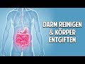 DARM REINIGEN & KÖRPER ENTGIFTEN - Die unglaubliche Kraft der Bitterstoffe