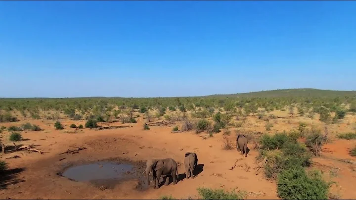 Projects Abroad: Conservation in Botswana