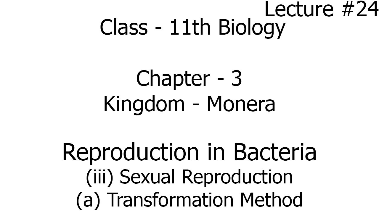 reproduction in bacteria - sexual reproduction - transformation method |  kingdom monera |class 11th
