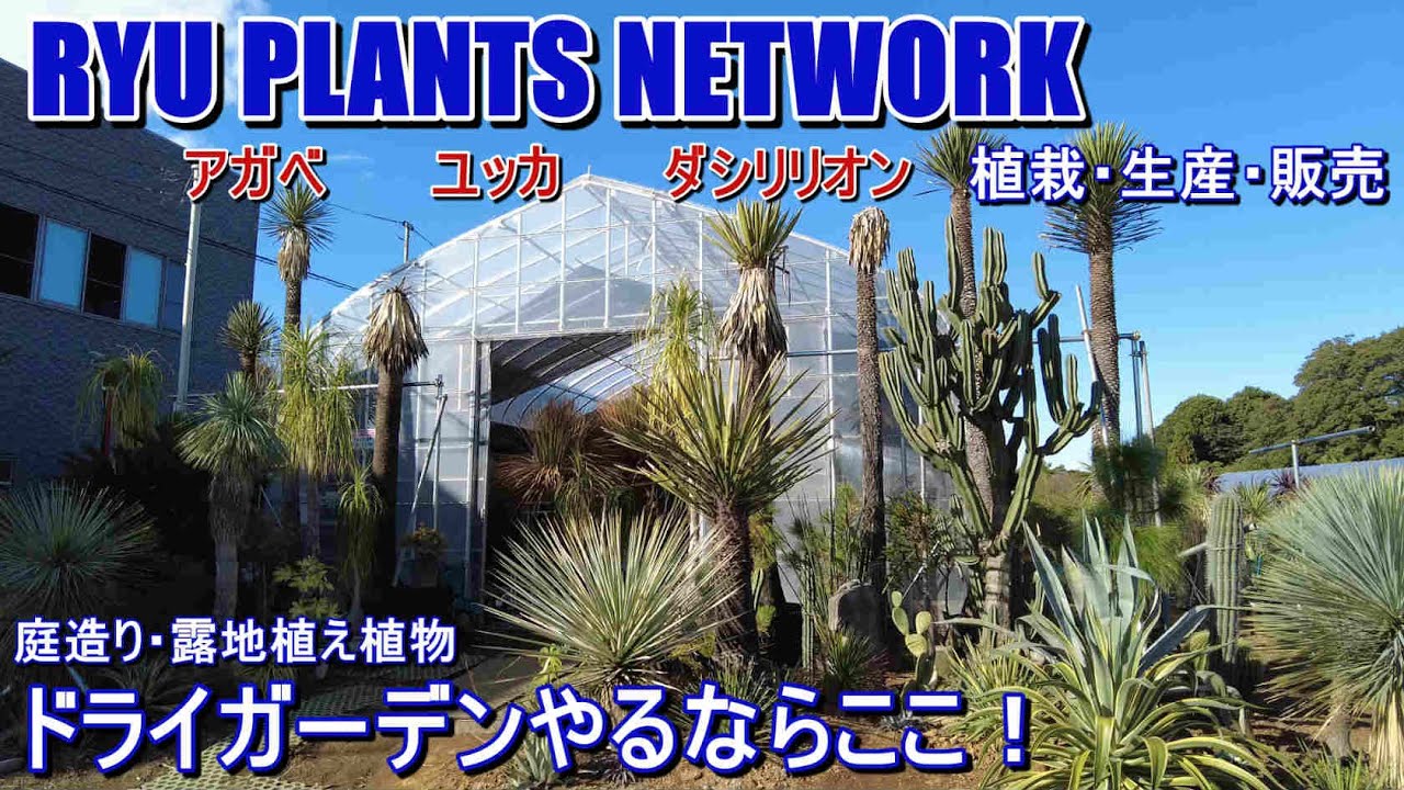 Visiting a greenhouse] A must-see for those who want to grow