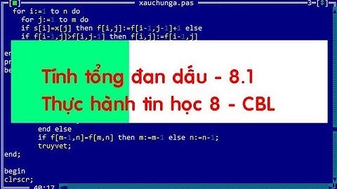 Thực hành tin học 8 - Lớp 8.1 CBL - Tổng đan dấu