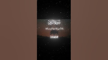 سورة الزمر|64-66|القارئ:#محمد_اللحيدان #قران #quran #راحة_نفسية #قران_كريم #تلاوة_هادئة #تلاوة_خاشعة