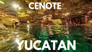 🇲🇽 Cenote San Ignacio in Chochola Yucatan Mexico